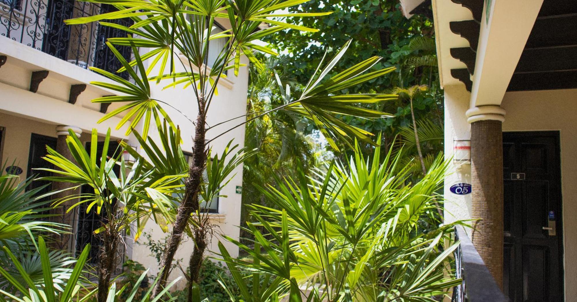 Nina Hotel Playa Del Carmen Kültér fotó